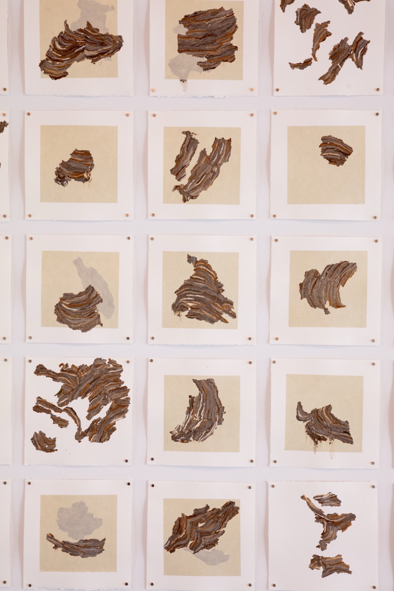 Visitors at the CCA Staff Exhibition